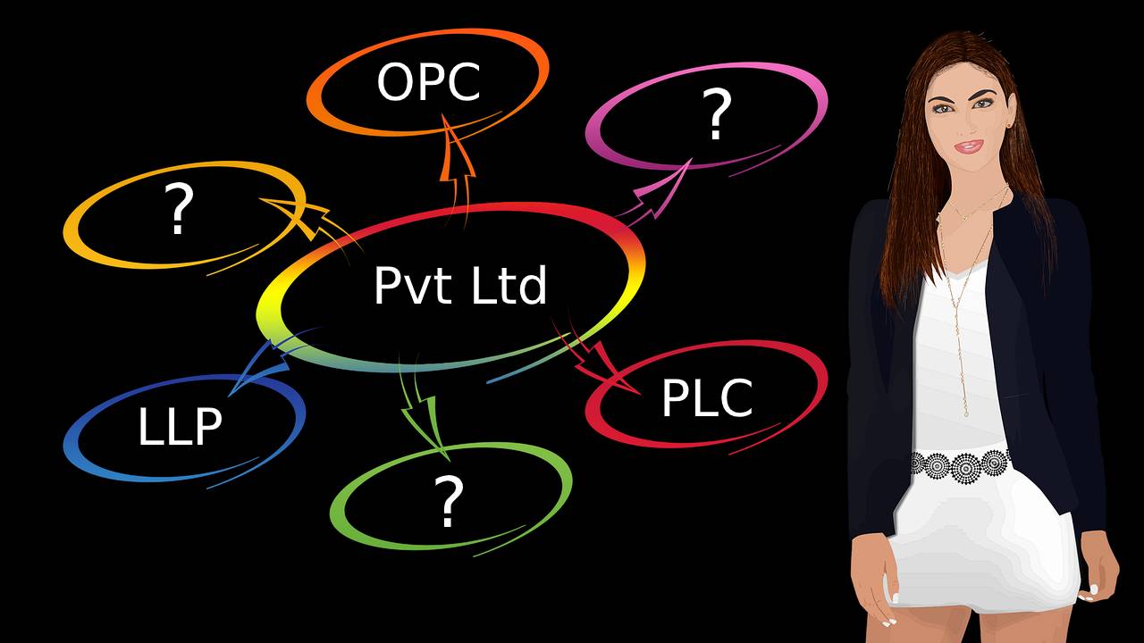 Pvt Ltd or OPC